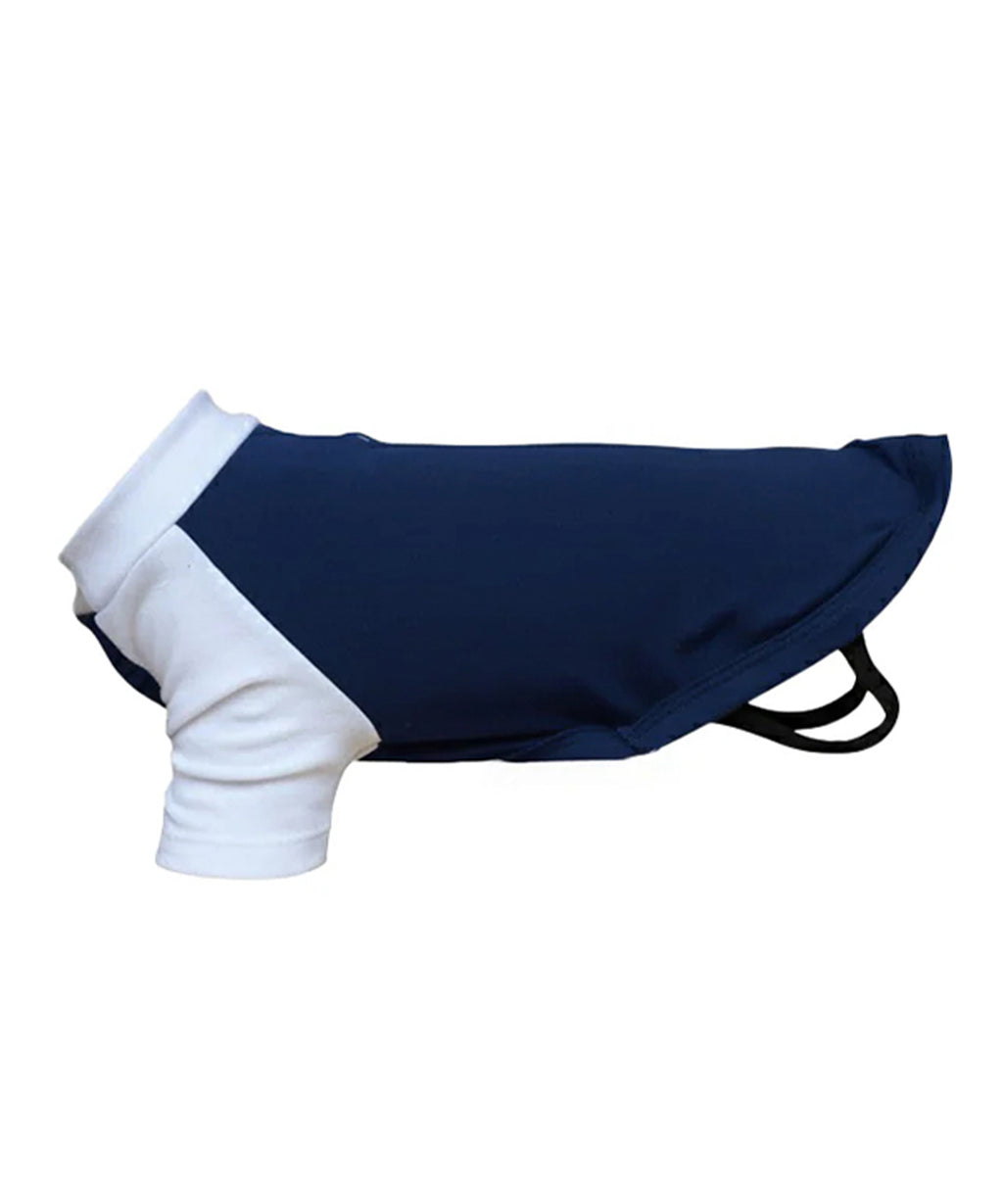 Dog Raglan T Shirt