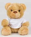 Bear in a T Shirt
